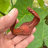 Unique Handcrafted Colored Vegetal Brown Braided Leather Bracelet with Green Cat Eye Stone Setting-Unique Gift Fashion Jewelry Cuff-Wristband (Copy)