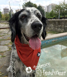 Unique Neck Gaiter - Triangle Face Mask - Tribal Black - Tribal Face Mask - Gift Protective Face Cover