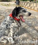 Unique Neck Gaiter - Triangle Face Mask - Folk - Yellow Face Mask - Protective Face Cover - Biker Bandana - Gift Design Scarf