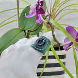 Unique Handcrafted Genuine Vegetal Green Leather Ring with Black Agate Stone Setting-Unisex Gift Fashion Jewelry Band