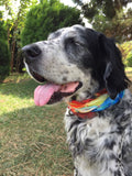 Neck Gaiter-Face Mask-Head Scarves-Headband-Balance-Colorful Bicycle Bandana-Quality Gift Headwear Face Shield